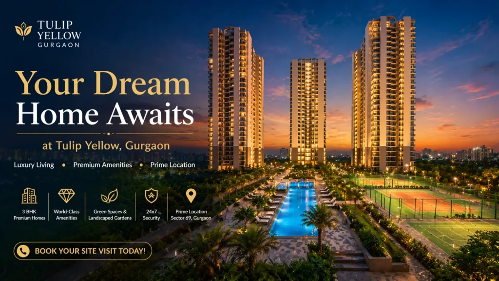 Tulip Yellow Gurgaon