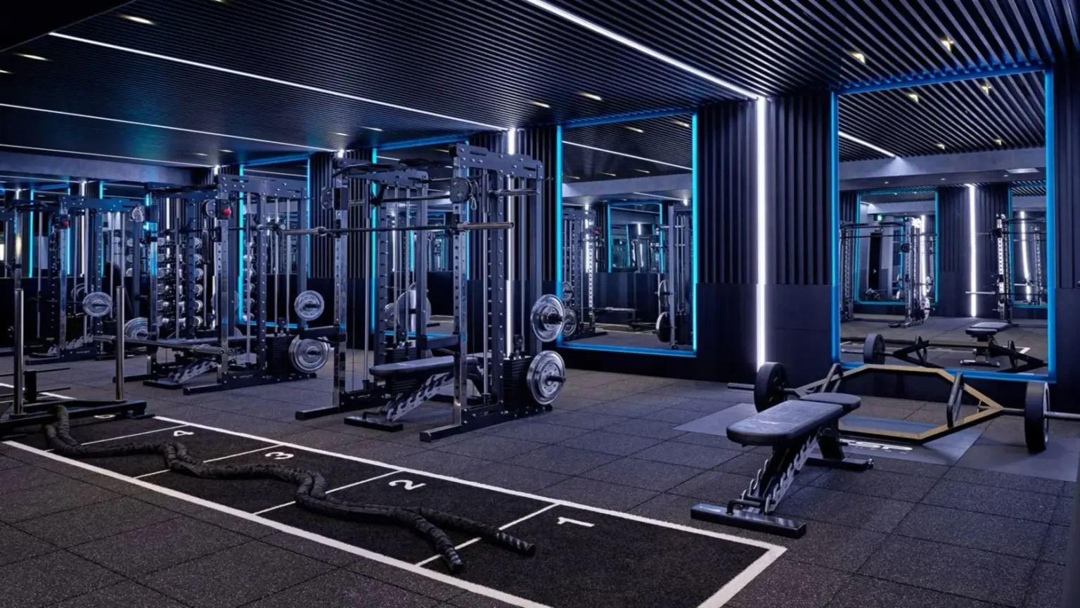 77cd9852179cf373847b46869b3ffbd5